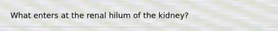 What enters at the renal hilum of the kidney?