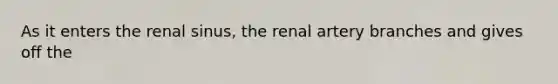 As it enters the renal sinus, the renal artery branches and gives off the