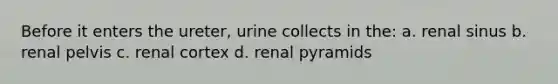 Before it enters the ureter, urine collects in the: a. renal sinus b. renal pelvis c. renal cortex d. renal pyramids