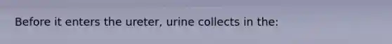 Before it enters the ureter, urine collects in the: