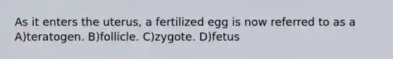 As it enters the uterus, a fertilized egg is now referred to as a A)teratogen. B)follicle. C)zygote. D)fetus