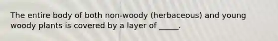 The entire body of both non-woody (herbaceous) and young woody plants is covered by a layer of _____.