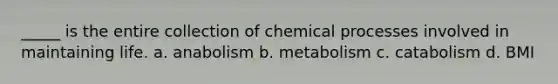 _____ is the entire collection of chemical processes involved in maintaining life. a. anabolism b. metabolism c. catabolism d. BMI