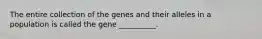 The entire collection of the genes and their alleles in a population is called the gene __________.