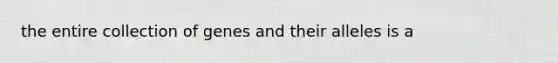 the entire collection of genes and their alleles is a