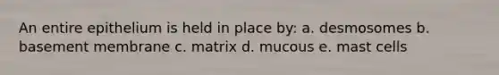 An entire epithelium is held in place by: a. desmosomes b. basement membrane c. matrix d. mucous e. mast cells