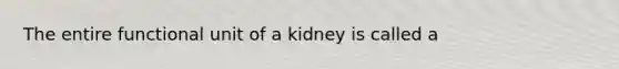 The entire functional unit of a kidney is called a