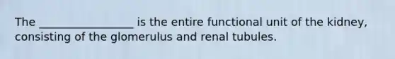 The _________________ is the entire functional unit of the kidney, consisting of the glomerulus and renal tubules.