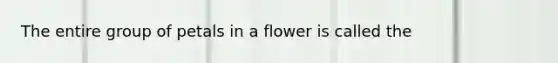 The entire group of petals in a flower is called the