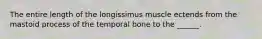 The entire length of the longissimus muscle ectends from the mastoid process of the temporal bone to the ______.