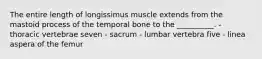 The entire length of longissimus muscle extends from the mastoid process of the temporal bone to the __________. - thoracic vertebrae seven - sacrum - lumbar vertebra five - linea aspera of the femur