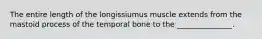 The entire length of the longissiumus muscle extends from the mastoid process of the temporal bone to the _______________.