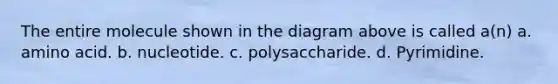 The entire molecule shown in the diagram above is called a(n) a. amino acid. b. nucleotide. c. polysaccharide. d. Pyrimidine.