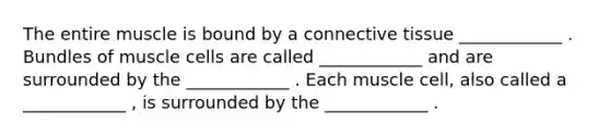 The entire muscle is bound by a connective tissue ____________ . Bundles of muscle cells are called ____________ and are surrounded by the ____________ . Each muscle cell, also called a ____________ , is surrounded by the ____________ .