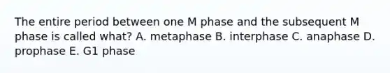 The entire period between one M phase and the subsequent M phase is called what? A. metaphase B. interphase C. anaphase D. prophase E. G1 phase