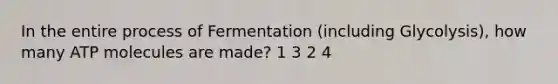 In the entire process of Fermentation (including Glycolysis), how many ATP molecules are made? 1 3 2 4