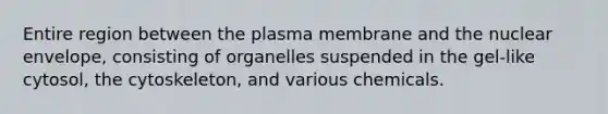 Entire region between the plasma membrane and the nuclear envelope, consisting of organelles suspended in the gel-like cytosol, the cytoskeleton, and various chemicals.