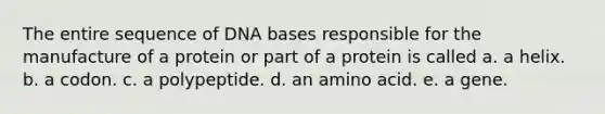 The entire sequence of DNA bases responsible for the manufacture of a protein or part of a protein is called a. a helix. b. a codon. c. a polypeptide. d. an amino acid. e. a gene.