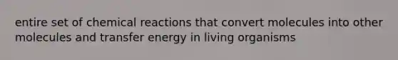 entire set of chemical reactions that convert molecules into other molecules and transfer energy in living organisms