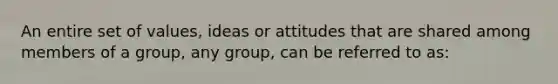 An entire set of values, ideas or attitudes that are shared among members of a group, any group, can be referred to as: