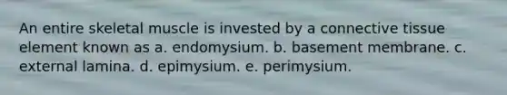 An entire skeletal muscle is invested by a connective tissue element known as a. endomysium. b. basement membrane. c. external lamina. d. epimysium. e. perimysium.