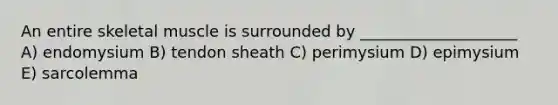 An entire skeletal muscle is surrounded by ____________________ A) endomysium B) tendon sheath C) perimysium D) epimysium E) sarcolemma