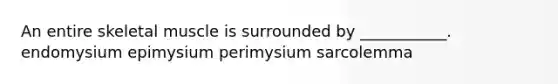 An entire skeletal muscle is surrounded by ___________. endomysium epimysium perimysium sarcolemma