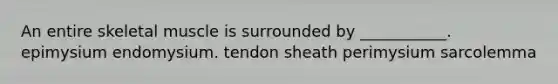 An entire skeletal muscle is surrounded by ___________. epimysium endomysium. tendon sheath perimysium sarcolemma