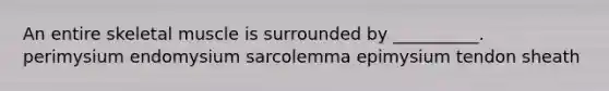 An entire skeletal muscle is surrounded by __________. perimysium endomysium sarcolemma epimysium tendon sheath