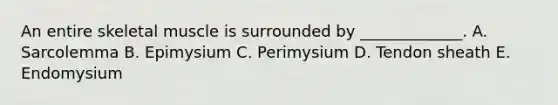 An entire skeletal muscle is surrounded by _____________. A. Sarcolemma B. Epimysium C. Perimysium D. Tendon sheath E. Endomysium