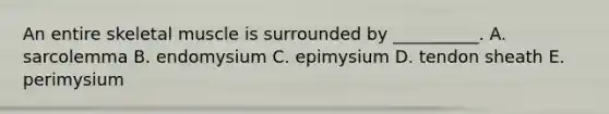 An entire skeletal muscle is surrounded by __________. A. sarcolemma B. endomysium C. epimysium D. tendon sheath E. perimysium