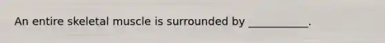 An entire skeletal muscle is surrounded by ___________.