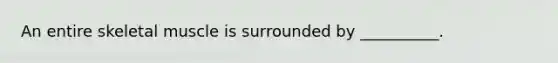 An entire skeletal muscle is surrounded by __________.