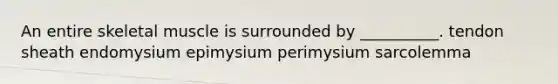 An entire skeletal muscle is surrounded by __________. tendon sheath endomysium epimysium perimysium sarcolemma