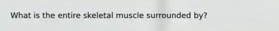 What is the entire skeletal muscle surrounded by?