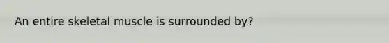 An entire skeletal muscle is surrounded by?