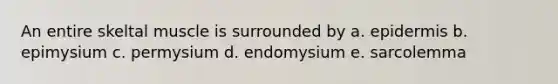 An entire skeltal muscle is surrounded by a. epidermis b. epimysium c. permysium d. endomysium e. sarcolemma