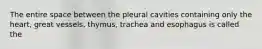 The entire space between the pleural cavities containing only the heart, great vessels, thymus, trachea and esophagus is called the