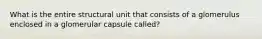 What is the entire structural unit that consists of a glomerulus enclosed in a glomerular capsule called?