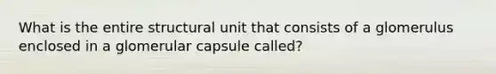 What is the entire structural unit that consists of a glomerulus enclosed in a glomerular capsule called?