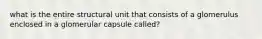 what is the entire structural unit that consists of a glomerulus enclosed in a glomerular capsule called?