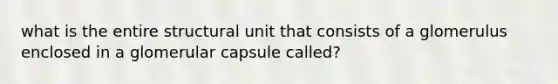 what is the entire structural unit that consists of a glomerulus enclosed in a glomerular capsule called?