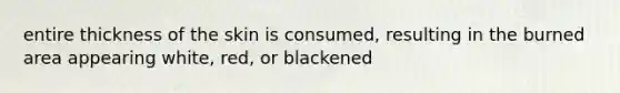 entire thickness of the skin is consumed, resulting in the burned area appearing white, red, or blackened