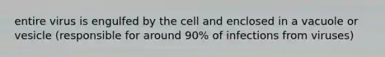 entire virus is engulfed by the cell and enclosed in a vacuole or vesicle (responsible for around 90% of infections from viruses)