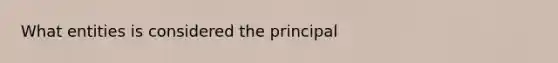 What entities is considered the principal