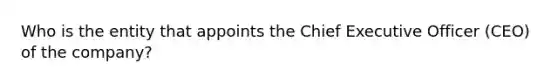 Who is the entity that appoints the Chief Executive Officer (CEO) of the company?