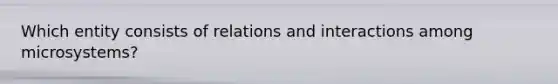 Which entity consists of relations and interactions among microsystems?