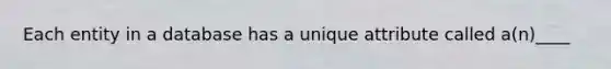 Each entity in a database has a unique attribute called a(n)____