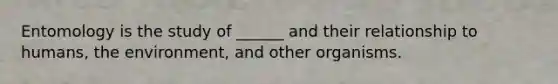Entomology is the study of ______ and their relationship to humans, the environment, and other organisms.