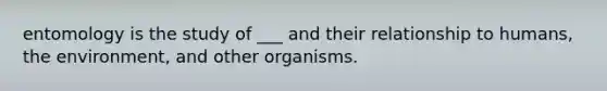 entomology is the study of ___ and their relationship to humans, the environment, and other organisms.